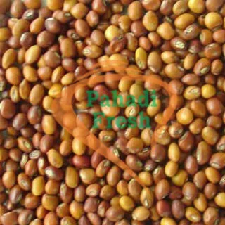 Dal Tor Green