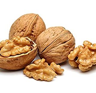 walnut