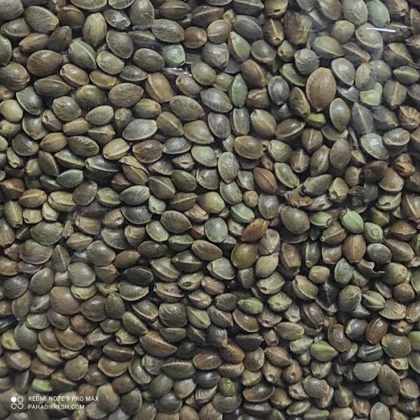 Hemp Seed (Super Food)